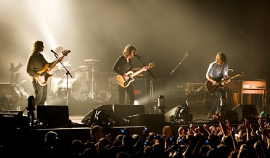 ארקטיק מאנקיז